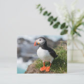 Atlantic Puffing in fokprogramma's Briefkaart (Staand voorkant)