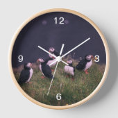 Atlantic Puffins (Voorkant)