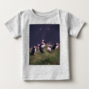 Atlantic Puffins