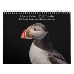 Atlantic Puffins 2021-kalender Kalender