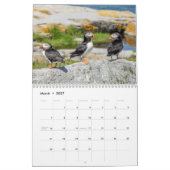 Atlantic Puffins 2021-kalender Kalender (Mar 2027)