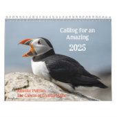 Atlantic Puffins 2025 Kalender (Hoes)