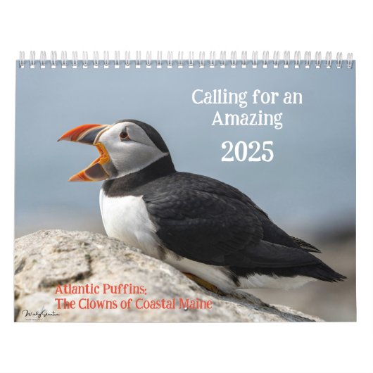 Atlantic Puffins 2025 Kalender (Hoes)
