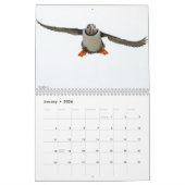 Atlantic Puffins 2025 Kalender (Jan 2026)