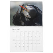 Atlantic Puffins 2025 Kalender (Mar 2027)