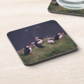Atlantic Puffins Beverage Coaster Bier Onderzetter (Linkerzijde)