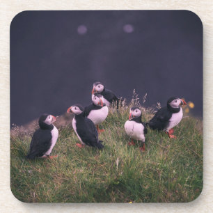 Atlantic Puffins Beverage Coaster Bier Onderzetter