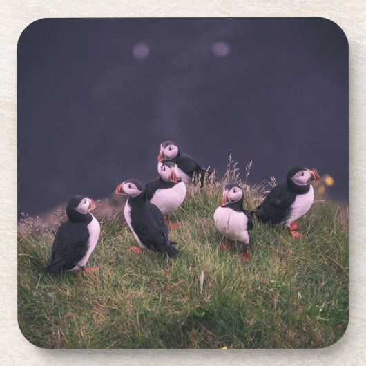 Atlantic Puffins Beverage Coaster Bier Onderzetter (Voorkant)