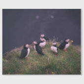 Atlantic Puffins Cadeaupapier (Vlak)