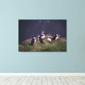 Atlantic Puffins Canvas Afdruk (Insitu (Houten vloer))