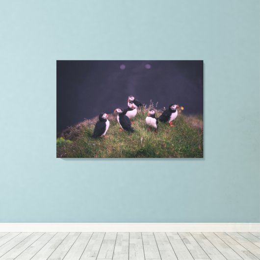 Atlantic Puffins Canvas Afdruk (Insitu (Houten vloer))