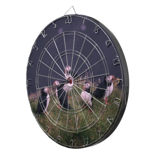 Atlantic Puffins Dartbord (Voorkant Rechts)