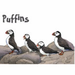 Atlantic Puffins Fotobeeldje Magneet<br><div class="desc">Puffins rust op de stenen. tekst lezen, ook "Puffins". De Atlantische Puffin (Fratercula arctica) voedt zich voornamelijk door in het water te duiken. Zij fokken zich in grote kolonies op kustkliffen of offshore-eilanden in de Noord-Atlantische Oceaan. Puffins gooien de kleurrijke buitenste delen van hun rekeningen af na het broedseizoen, waarbij...</div>