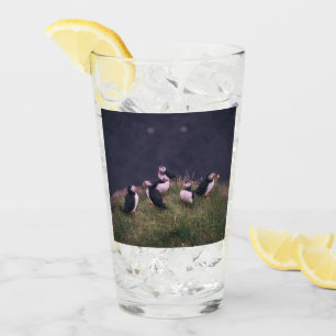 Atlantic Puffins Glas