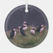 Atlantic Puffins Glas Ornament (Voorkant)