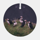Atlantic Puffins Glas Ornament (Achterkant)