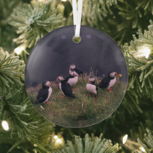 Atlantic Puffins Glas Ornament