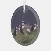 Atlantic Puffins Glas Ornament (Voorkant links)