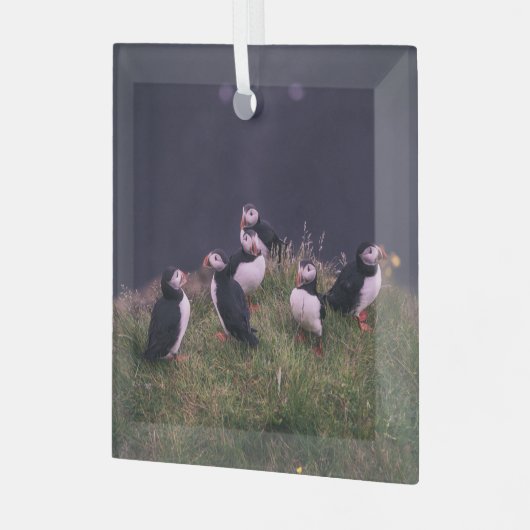 Atlantic Puffins Glas Ornament (Voorkant links)