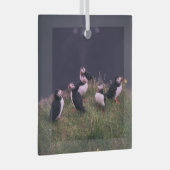 Atlantic Puffins Glas Ornament (Voorkant Rechts)