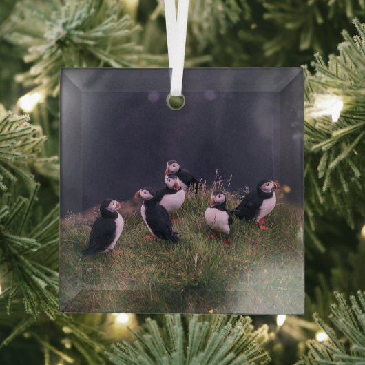 Atlantic Puffins Glas Ornament (Insitu)