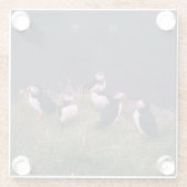 Atlantic Puffins Glazen Onderzetter (Achterkant)