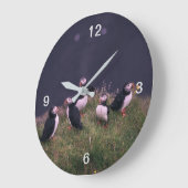 Atlantic Puffins Grote Klok (Hoek)