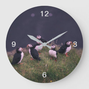 Atlantic Puffins Grote Klok