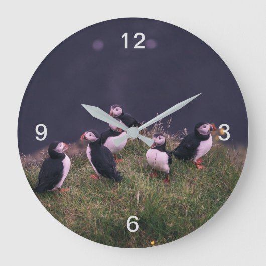 Atlantic Puffins Grote Klok (Voorkant)