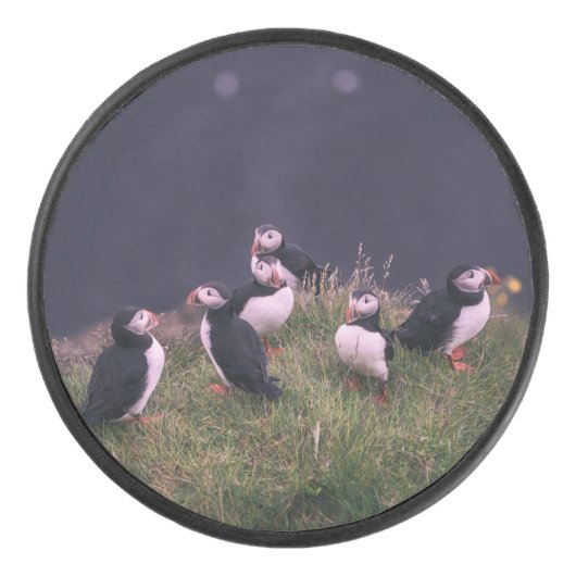 Atlantic Puffins Hockey Puck (Voorkant)