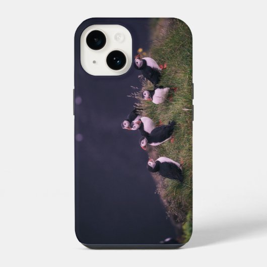Atlantic Puffins iPhone 14 Hoesje (Achterkant)