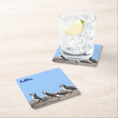 Atlantic Puffins Kartonnen Onderzetters (Insitu)