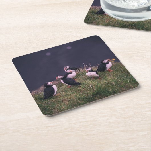 Atlantic Puffins Kartonnen Onderzetters (Schuin)