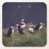 Atlantic Puffins Kartonnen Onderzetters (Voorkant)