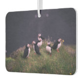 Atlantic Puffins Luchtverfrisser (Links)