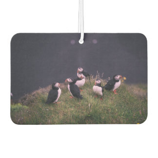 Atlantic Puffins Luchtverfrisser