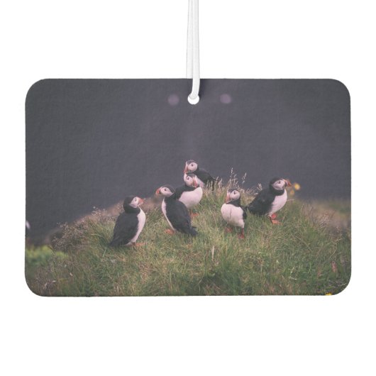 Atlantic Puffins Luchtverfrisser (Voorkant)