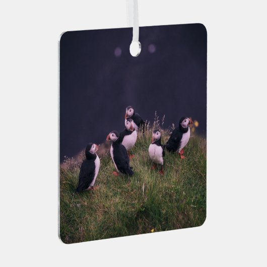 Atlantic Puffins Metalen Ornament (Voorkant Rechts)