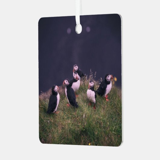 Atlantic Puffins Metalen Ornament (Voorkant links)