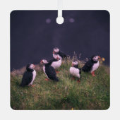 Atlantic Puffins Metalen Ornament (Voorkant)
