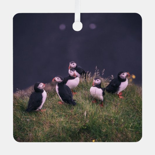 Atlantic Puffins Metalen Ornament (Voorkant)