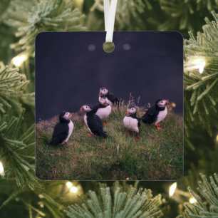 Atlantic Puffins Metalen Ornament