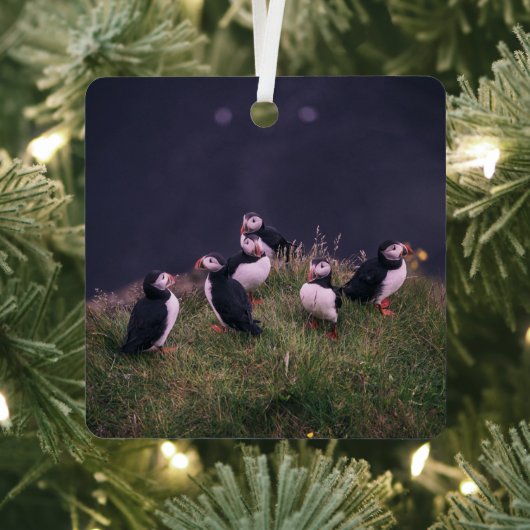 Atlantic Puffins Metalen Ornament (Insitu)