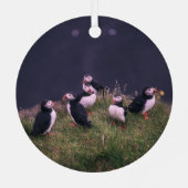 Atlantic Puffins Metalen Ornament (Achterkant)