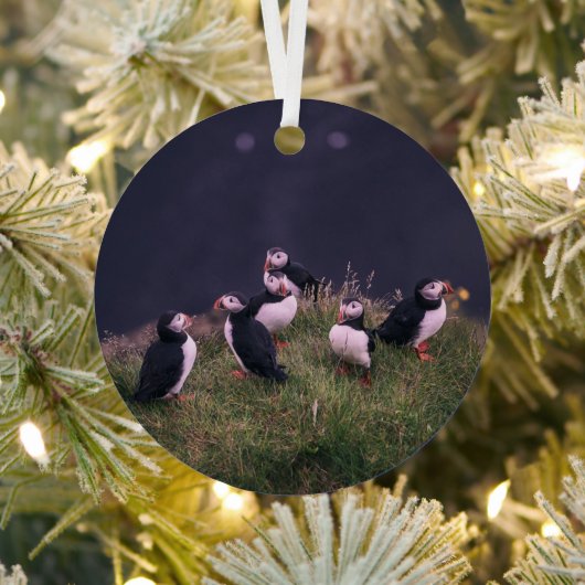 Atlantic Puffins Metalen Ornament (Insitu)