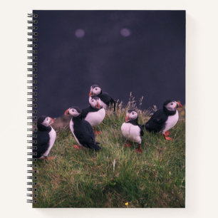 Atlantic Puffins Notitieboek