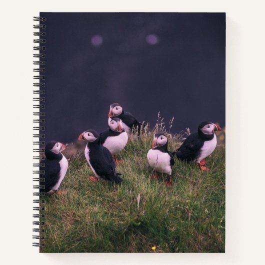 Atlantic Puffins Notitieboek (Voorkant)