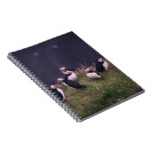 Atlantic Puffins Notitieboek (Rechterzijde)