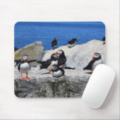 Atlantic Puffins op Machias Seal Island Muismat (Met muis)
