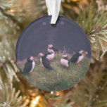Atlantic Puffins Ornament<br><div class="desc">Een bijeenkomst van Atlantic Puffins. Foto door Jonatan Pie.</div>
